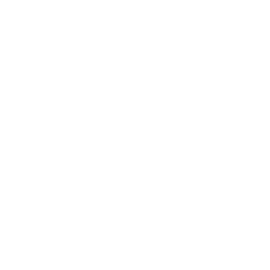 Neptune Studio – logo