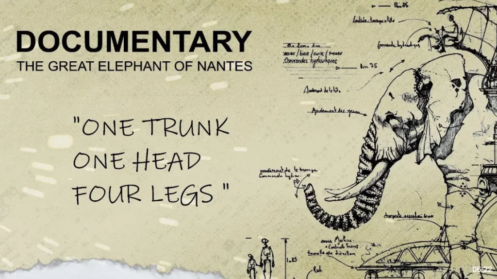 DOCUMENTAIRE CONTEMPLATIF || Une Trompe – Une tête – Quatre Pattes